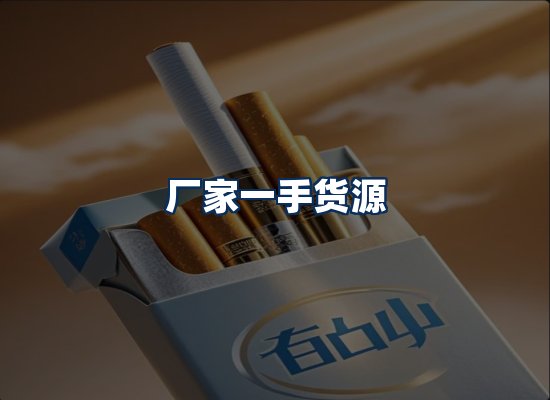 专业团队办公环境